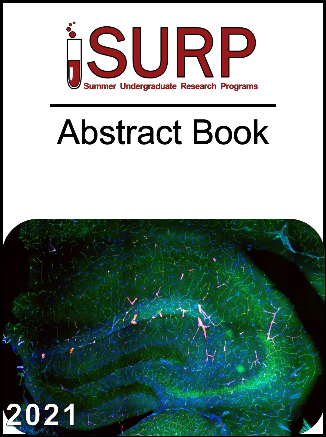 2021 SURP Abstract Book Cover Art637623091987736380